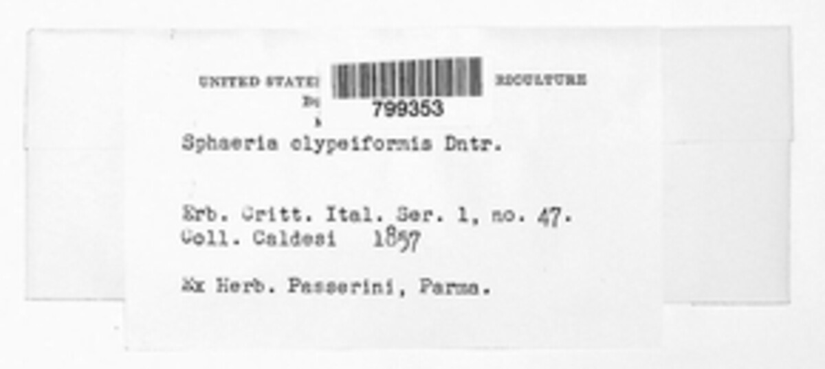 Sphaeria clypeiformis image